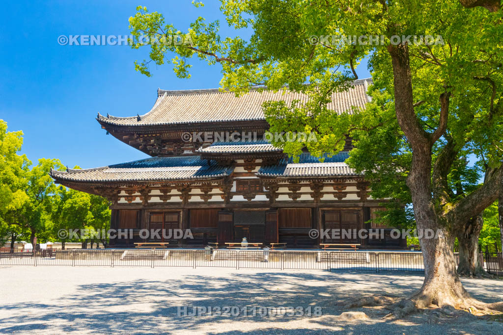 京都府　東寺　金堂