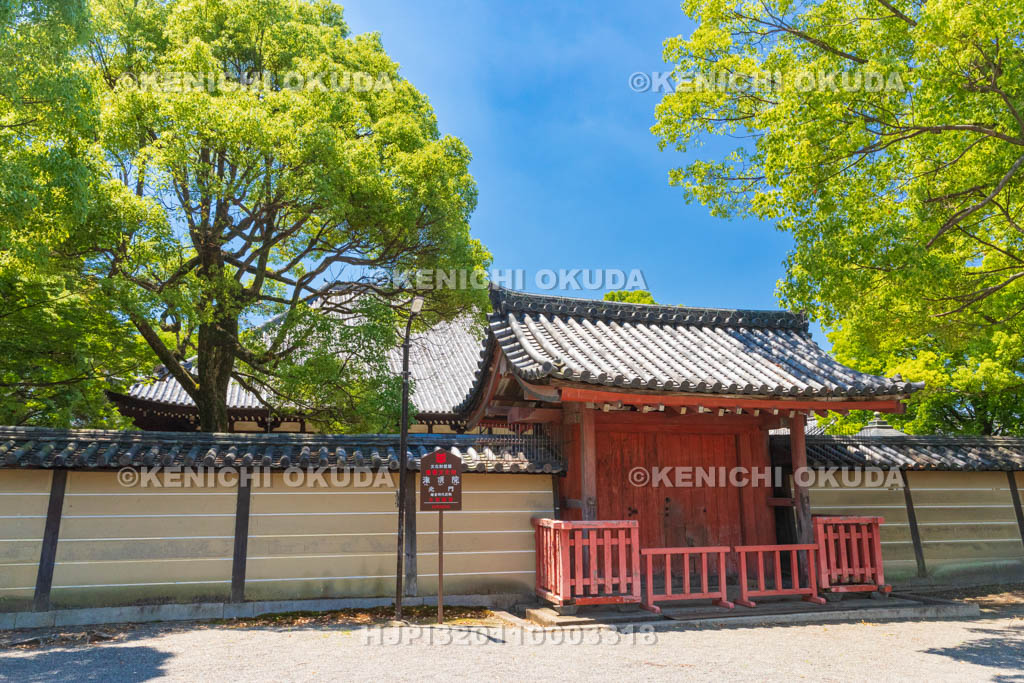 京都府　東寺　灌頂院（かんじょういん）　北門