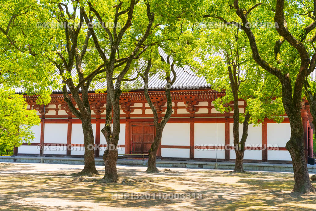 京都府　東寺　講堂