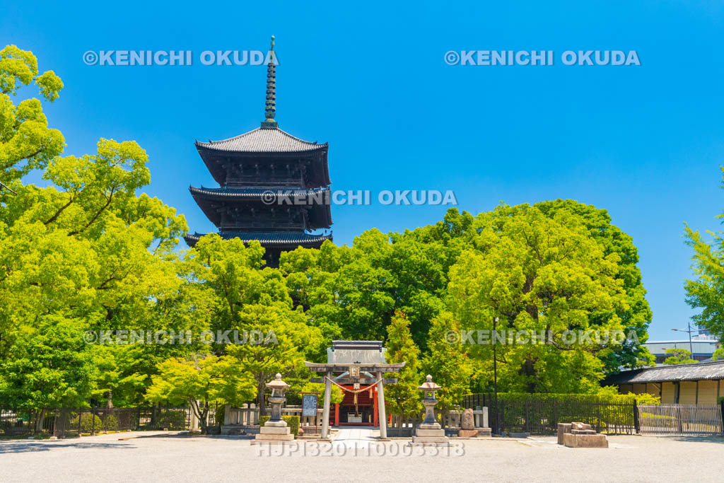 京都府　東寺　五重塔と八島社