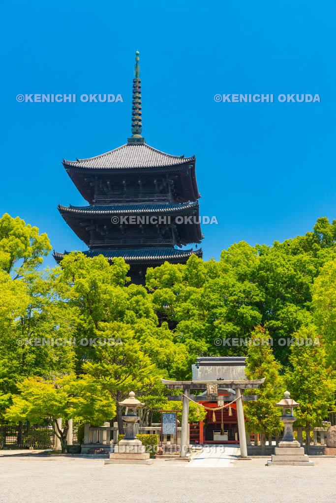 京都府　東寺　五重塔と八島社