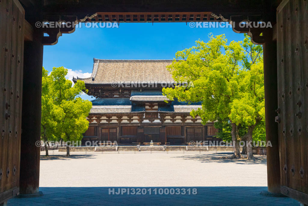 京都府　東寺　南大門から望む金堂