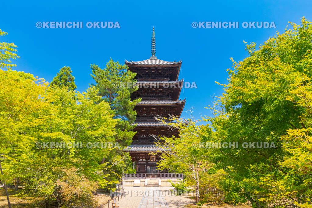 京都府　仁和寺　五重塔