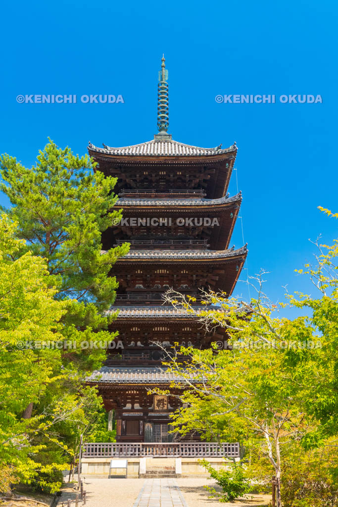 京都府　仁和寺　五重塔