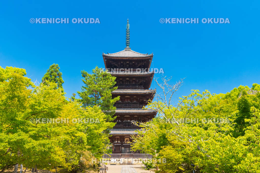 京都府　仁和寺　五重塔