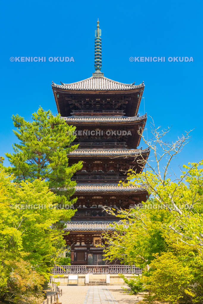 京都府　仁和寺　五重塔