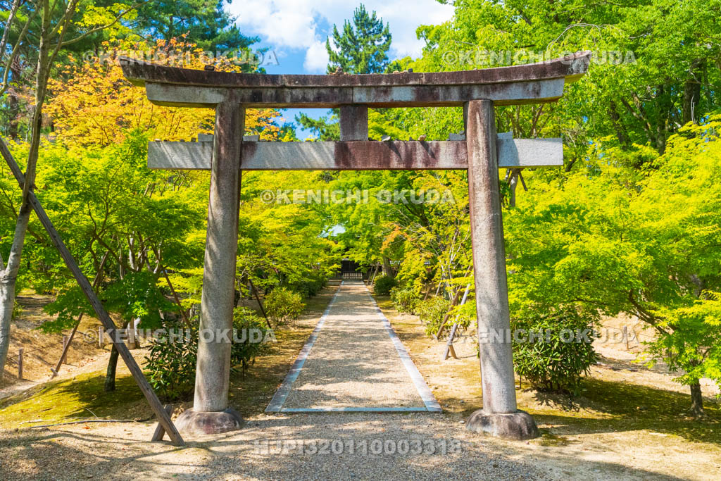 京都府　仁和寺　九所明神の参道