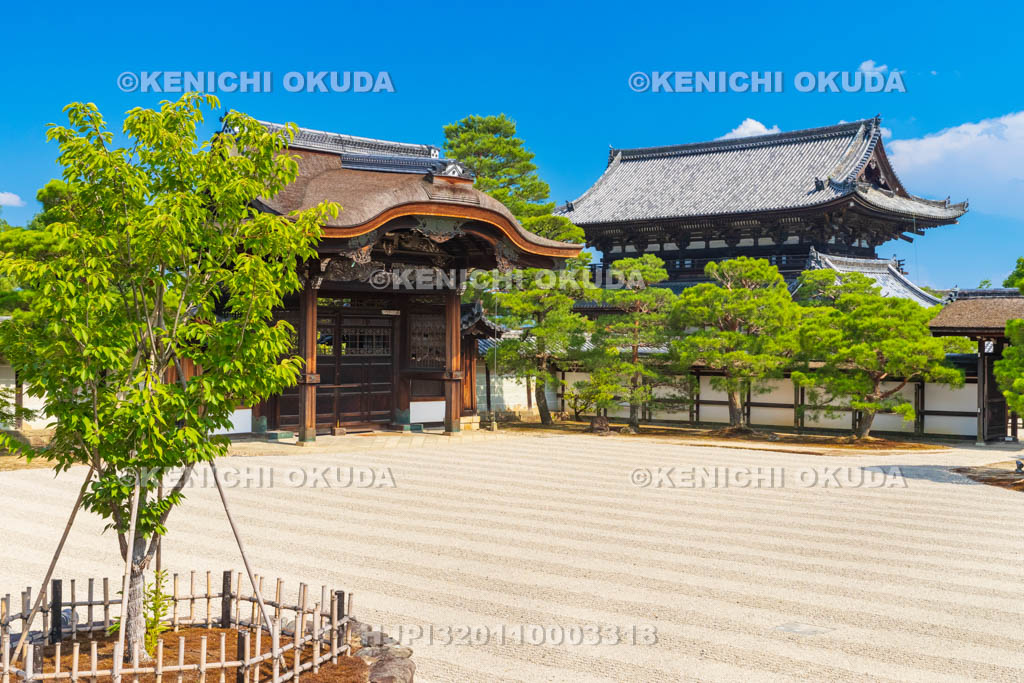 京都府　仁和寺　御殿　南庭