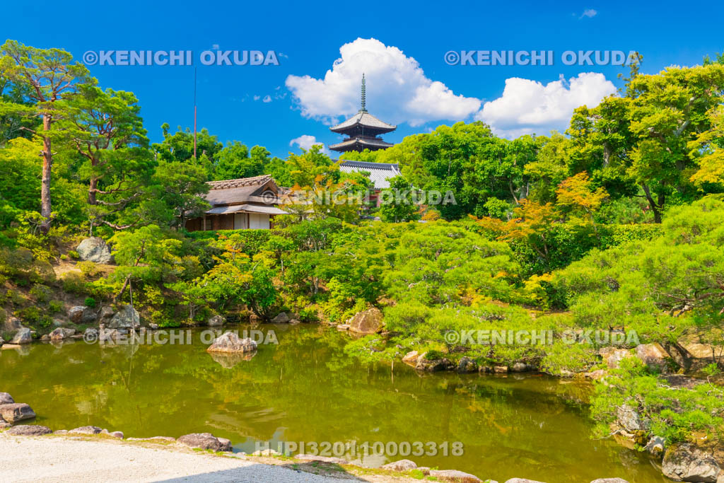 京都府　仁和寺　御殿　北庭