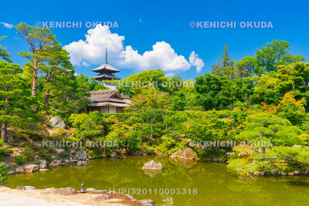 京都府　仁和寺　御殿　北庭