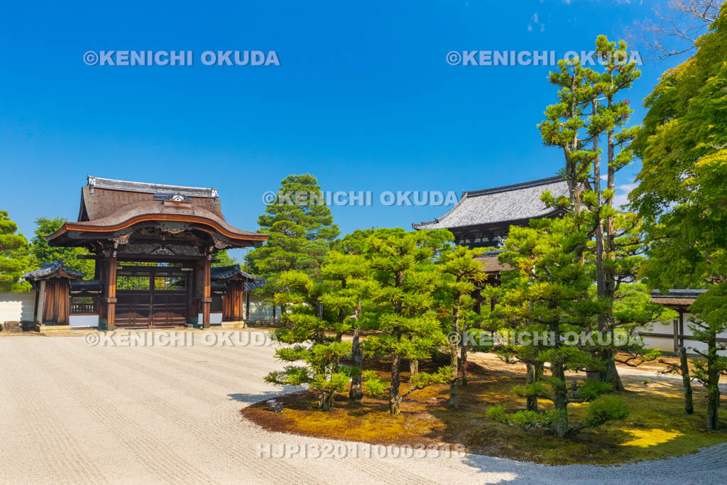 京都府　仁和寺　御殿　南庭
