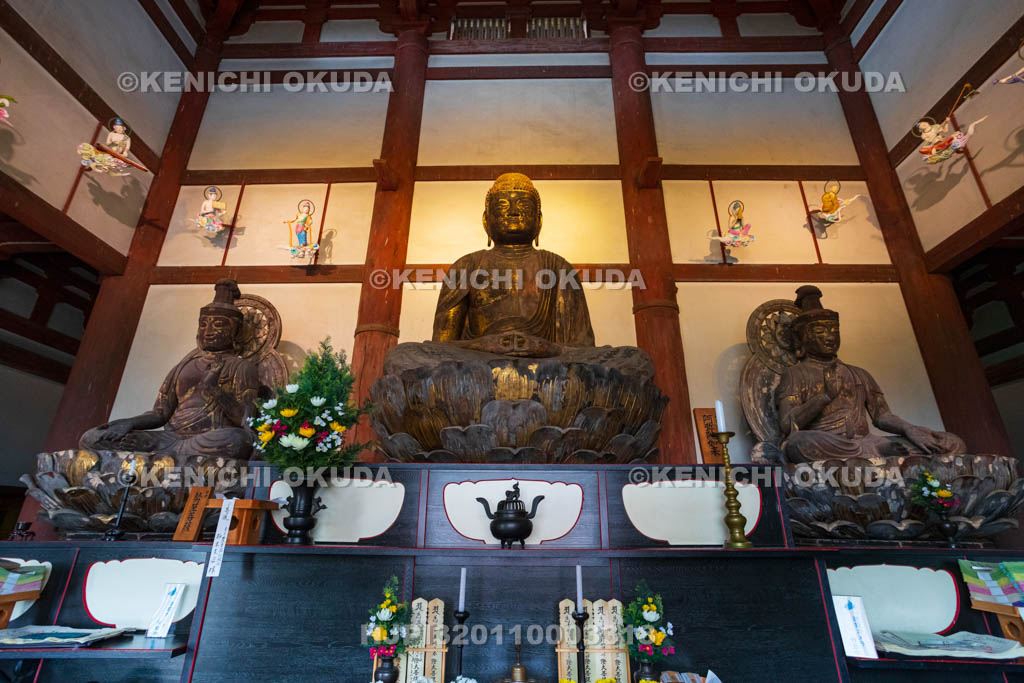 奈良県　喜光寺　本尊