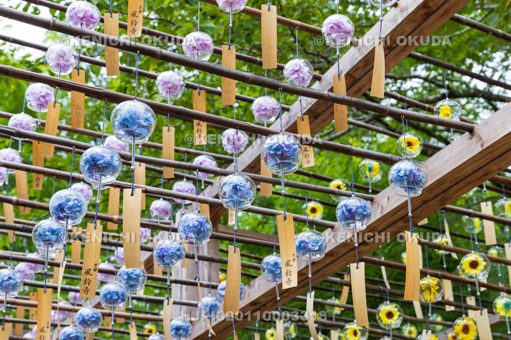京都府　正寿院　風鈴まつり