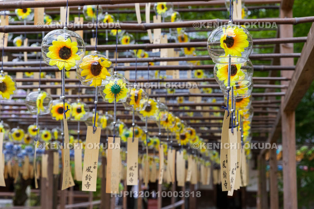 京都府　正寿院　風鈴まつり