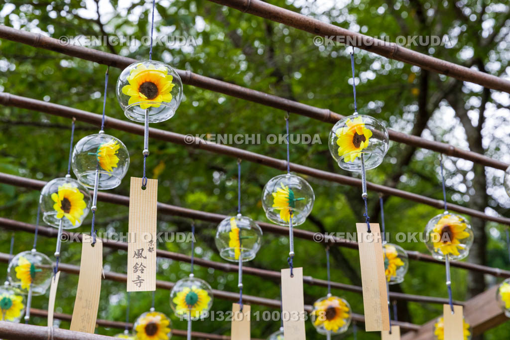京都府　正寿院　風鈴まつり
