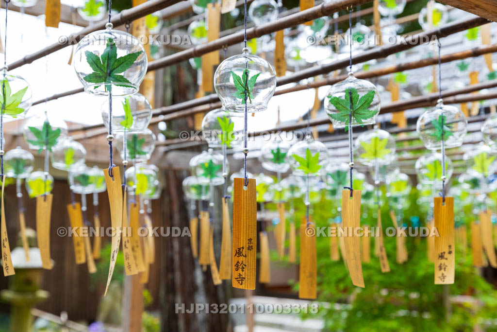 京都府　正寿院　風鈴まつり