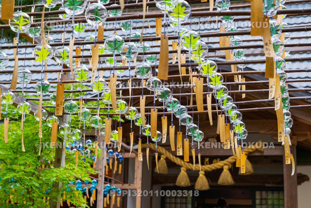 京都府　正寿院　風鈴まつり