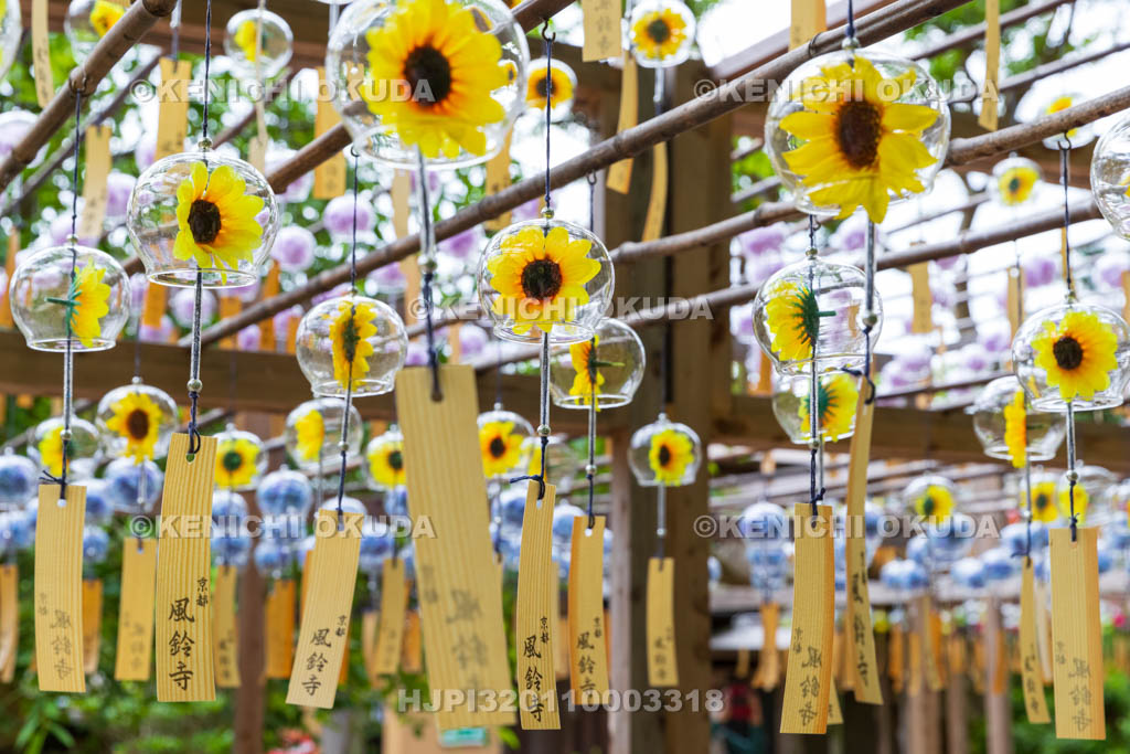 京都府　正寿院　風鈴まつり
