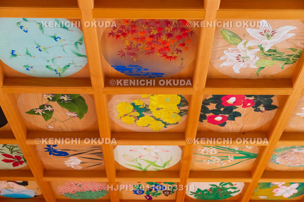 京都府　正寿院　客殿（則天の間）　天井画