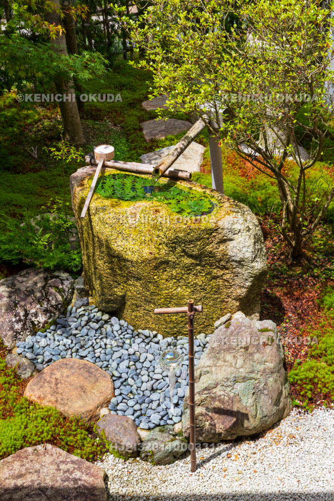 京都府 正寿院 客殿(則天の間)から望む庭園