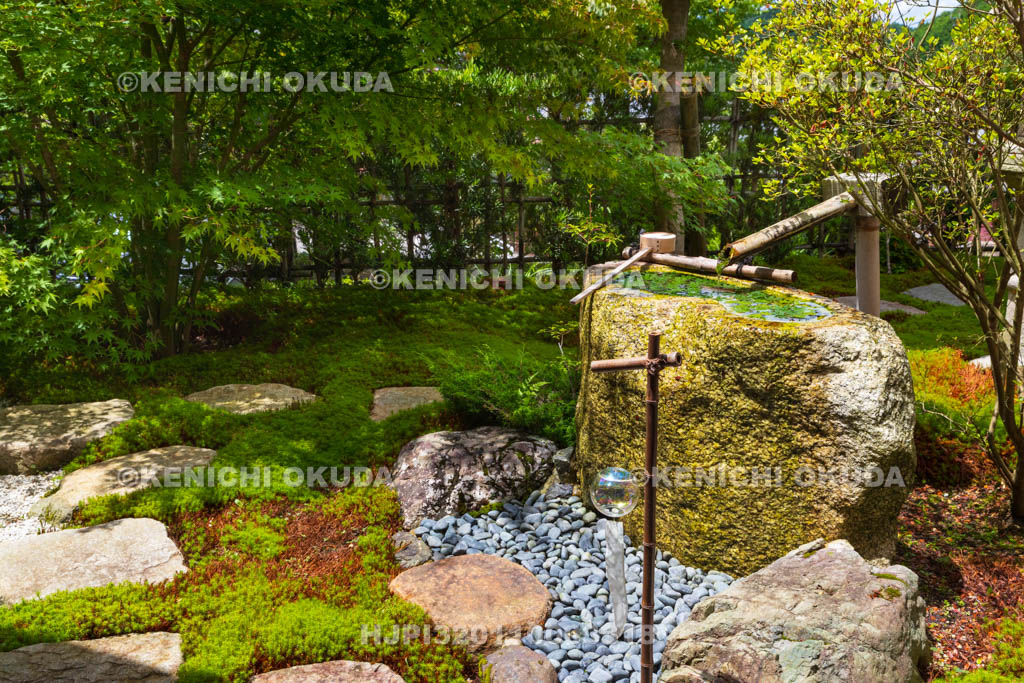 京都府　正寿院　客殿（則天の間）から望む庭園