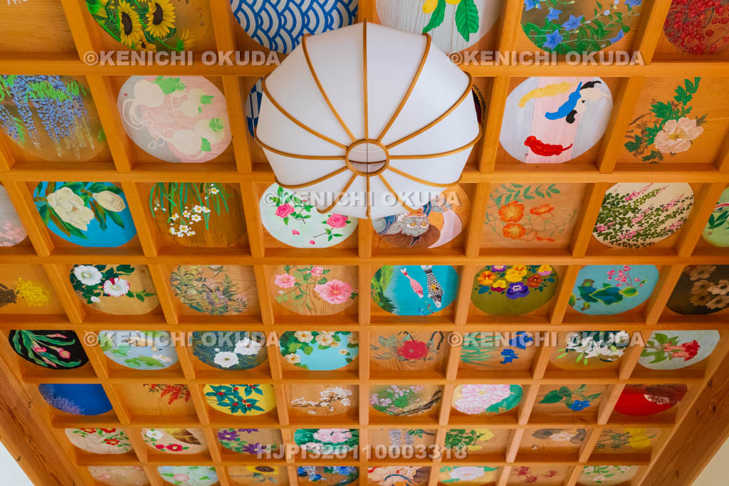 京都府 正寿院 客殿(則天の間) 天井画