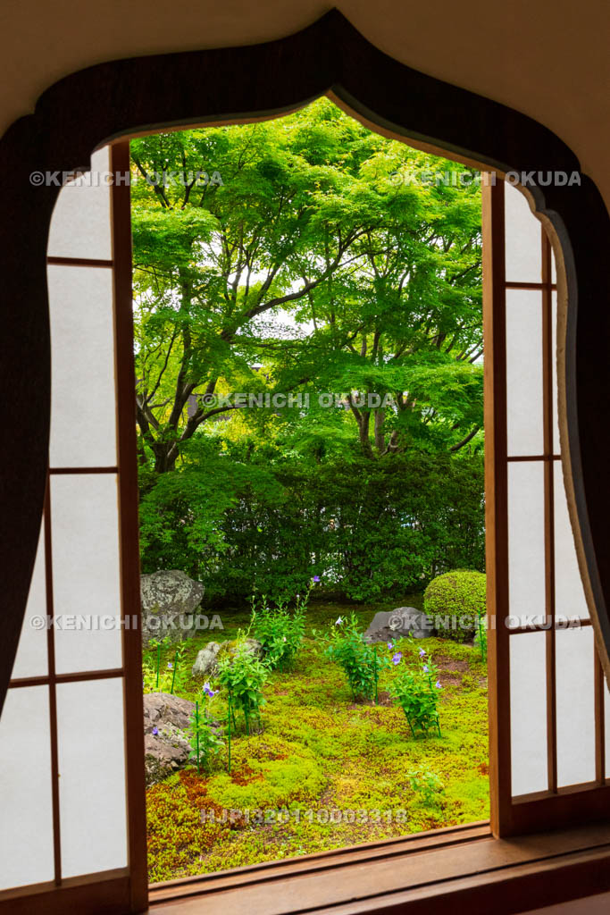 京都府 東福寺塔頭 天得院 火灯窓と庭園