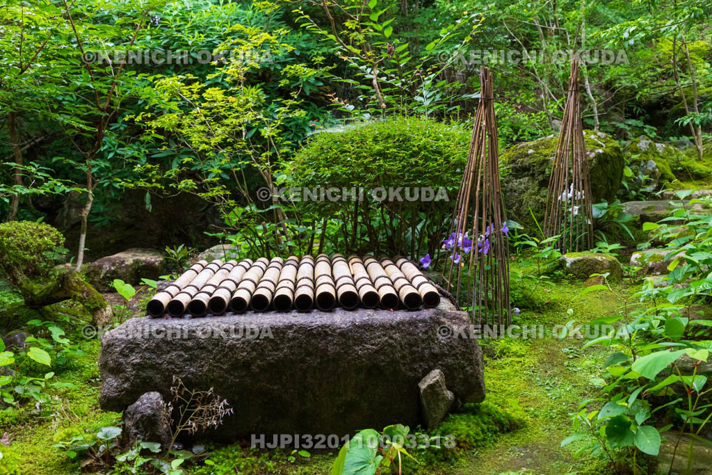 京都府　大原の里　宝泉院　庭園（囲炉裏の部屋前）