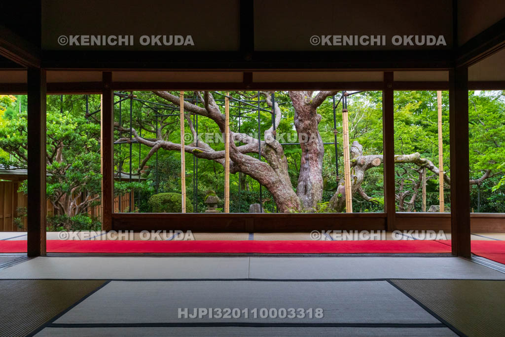 京都府 大原の里 宝泉院 書院から望む盤桓園(ばんかんえん)