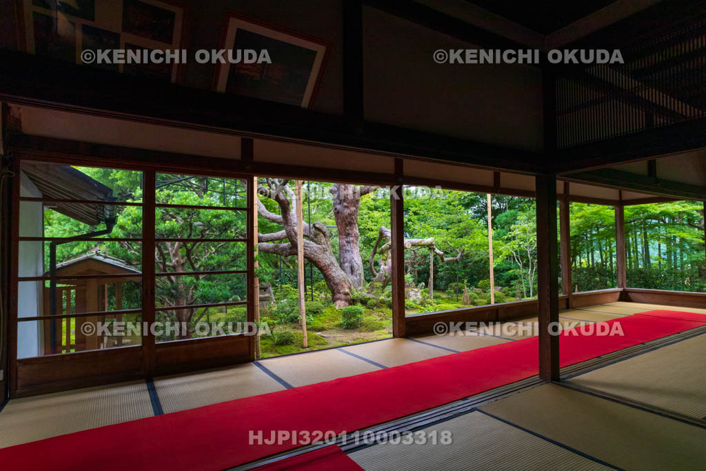 京都府　大原の里　宝泉院　書院から望む盤桓園（ばんかんえん）