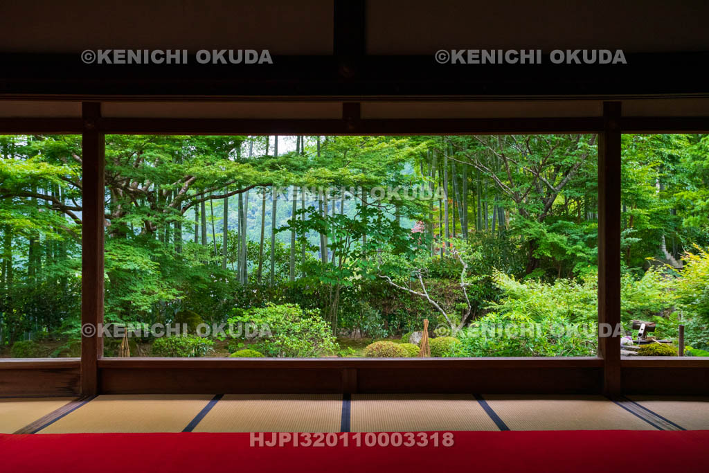 京都府　大原の里　宝泉院　書院から望む盤桓園（ばんかんえん）