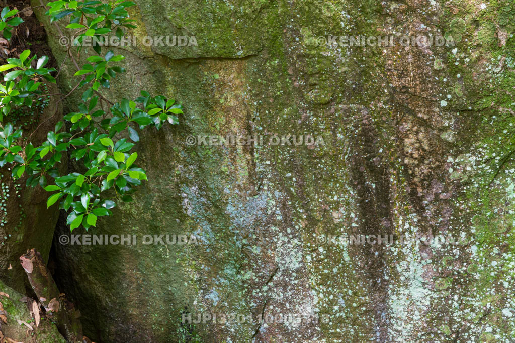 京都府　当尾の里　一願不動（不動明王立像）