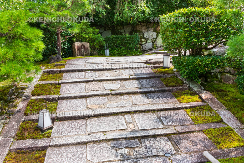 京都府　圓光寺　参道