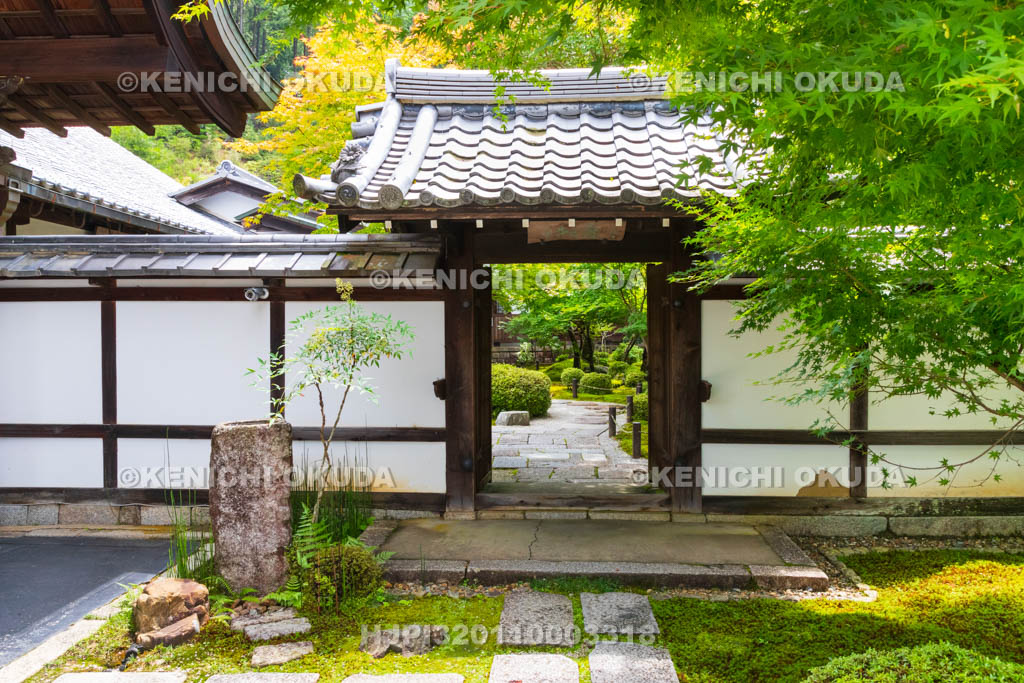 京都府　圓光寺　十牛之庭の門