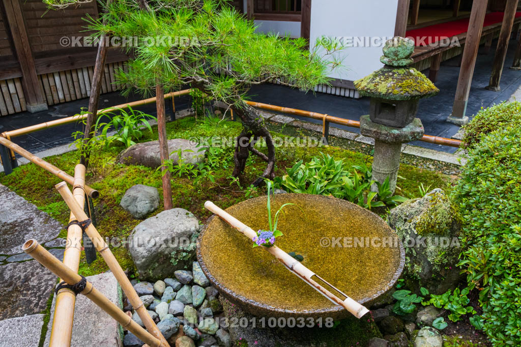 京都府　圓光寺　十牛之庭　花手水と水琴窟