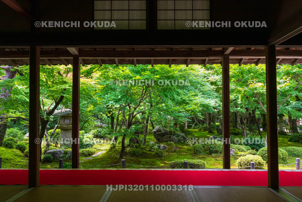 京都府　圓光寺　本堂から望む新緑の十牛之庭