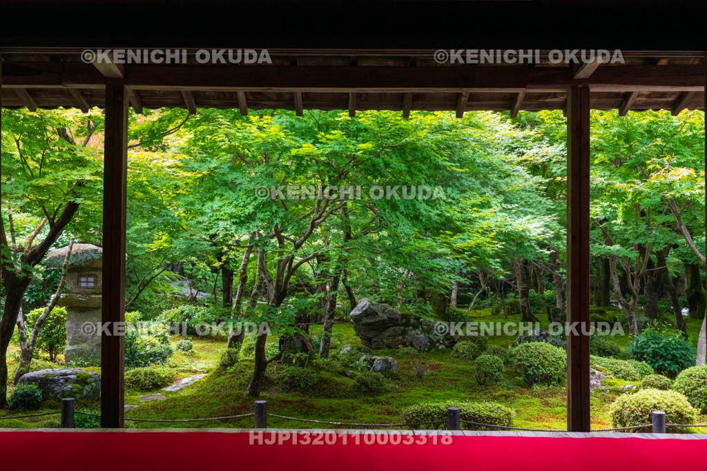 京都府　圓光寺　本堂から望む新緑の十牛之庭