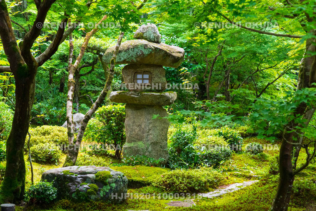 京都府　圓光寺　新緑の十牛之庭