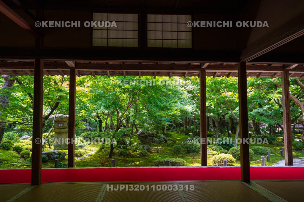 京都府　圓光寺　本堂から望む新緑の十牛之庭