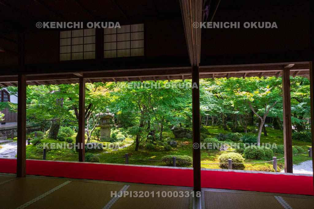 京都府　圓光寺　本堂から望む新緑の十牛之庭