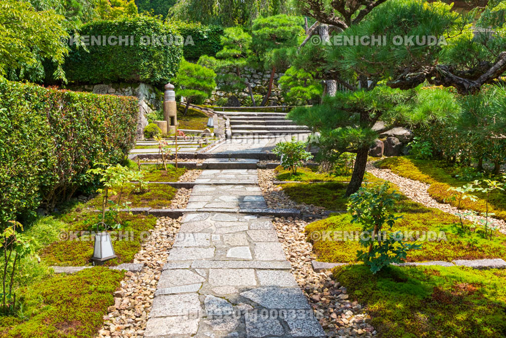 京都府　圓光寺　参道