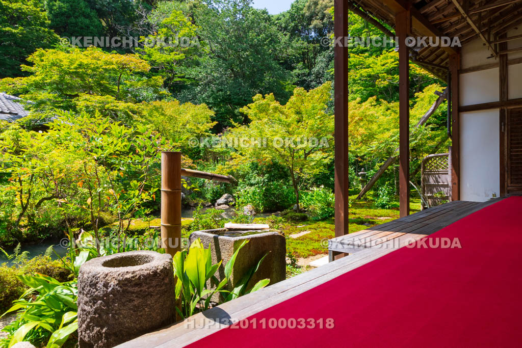 京都府　実相院　池泉回遊式庭園