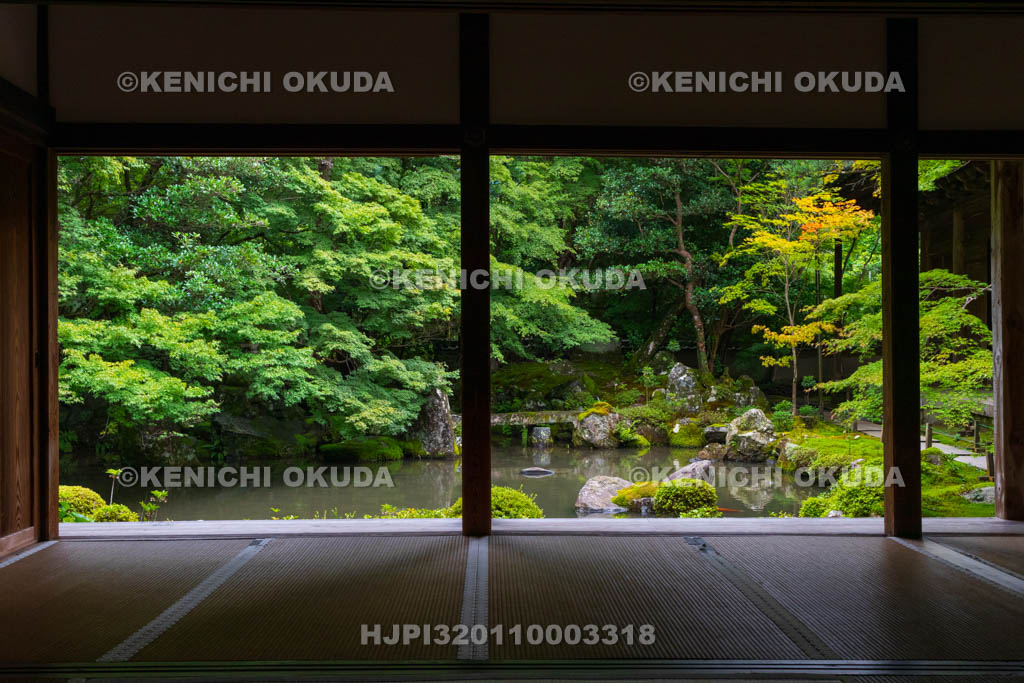 京都府　蓮華寺　書院から望む新緑の庭園