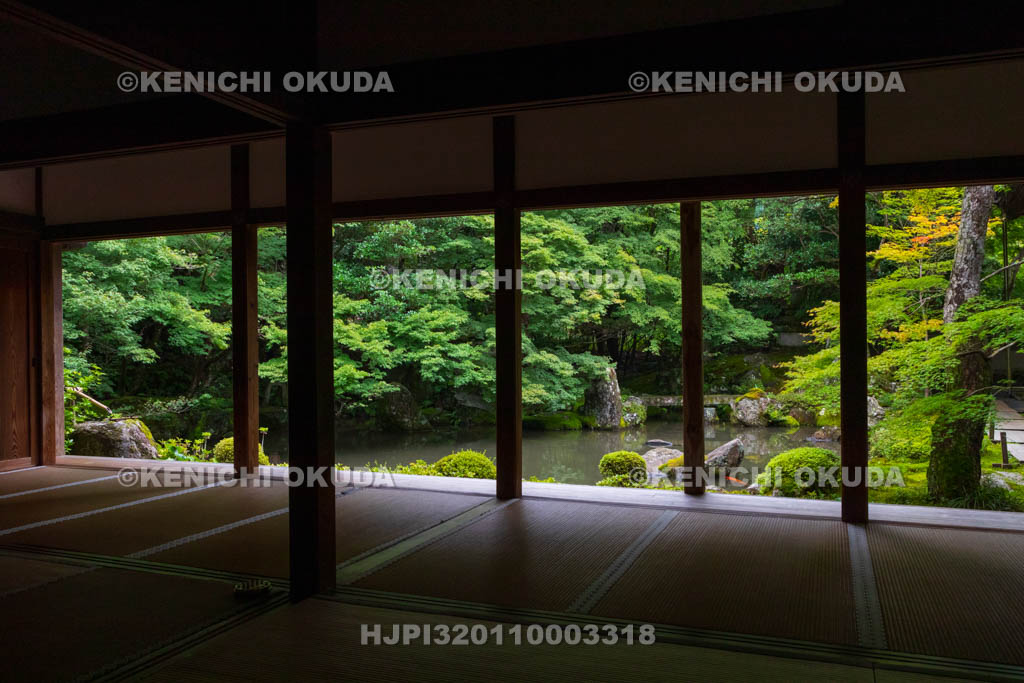 京都府　蓮華寺　書院から望む新緑の庭園