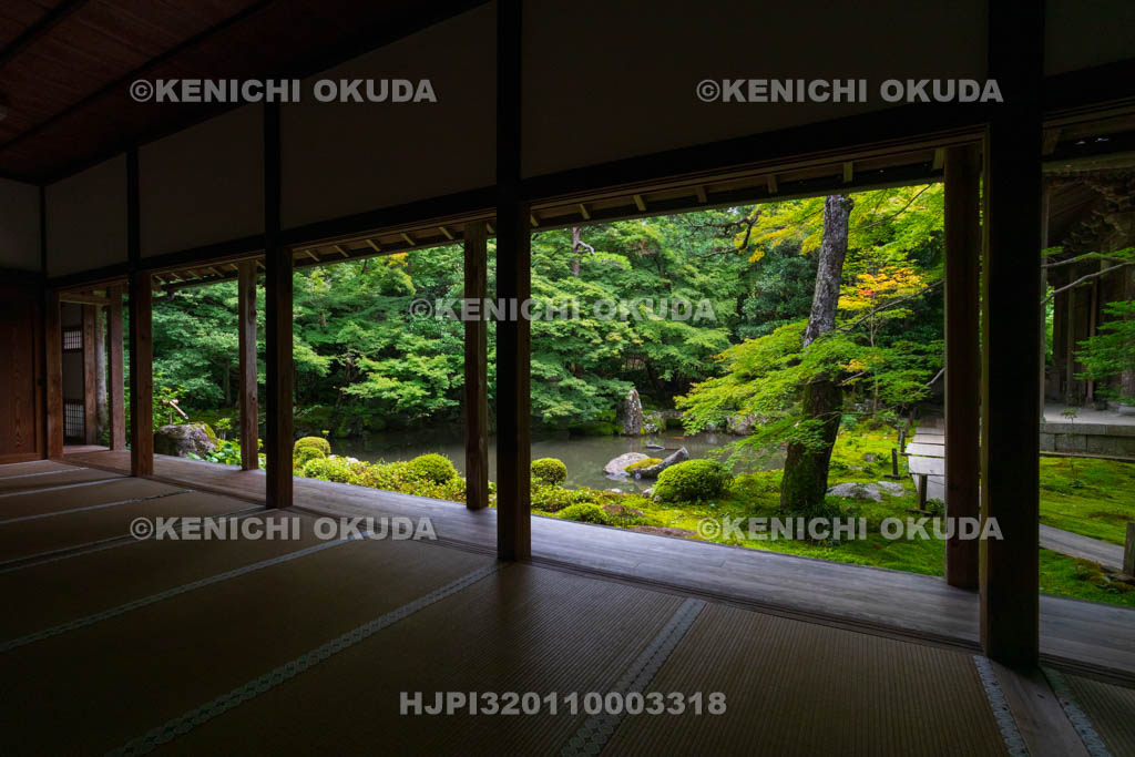 京都府　蓮華寺　書院から望む新緑の庭園