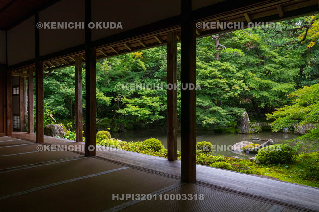 京都府　蓮華寺　書院から望む新緑の庭園
