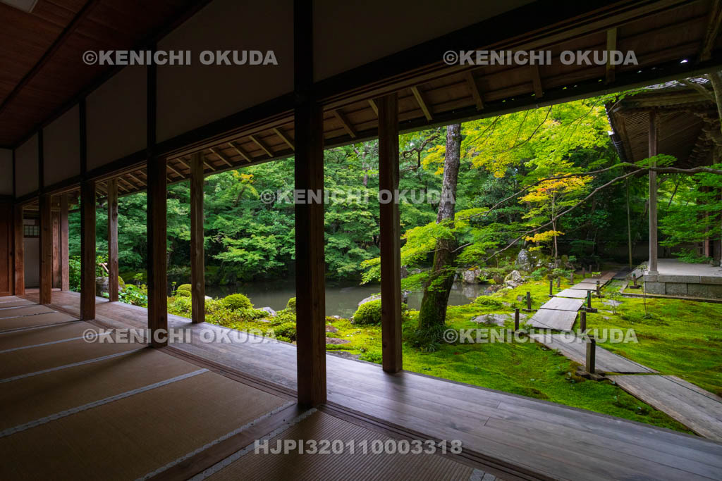 京都府　蓮華寺　書院から望む新緑の庭園