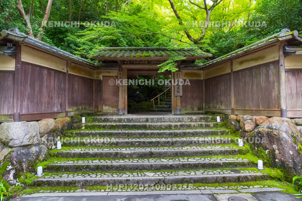 京都府　瑠璃光院　新緑の山門