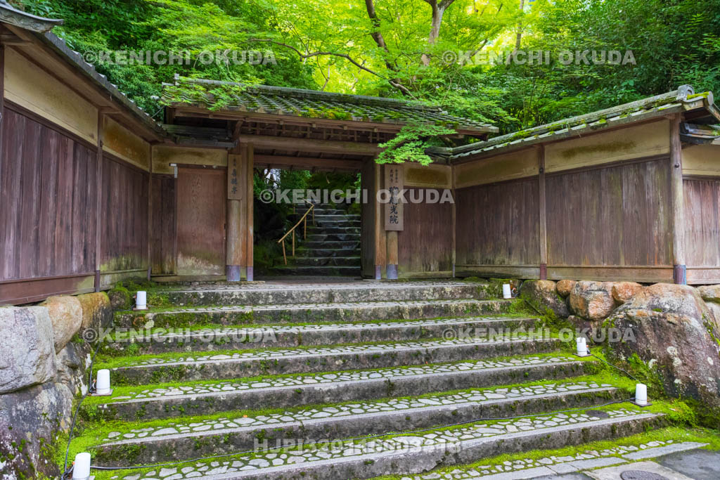 京都府　瑠璃光院　新緑の山門