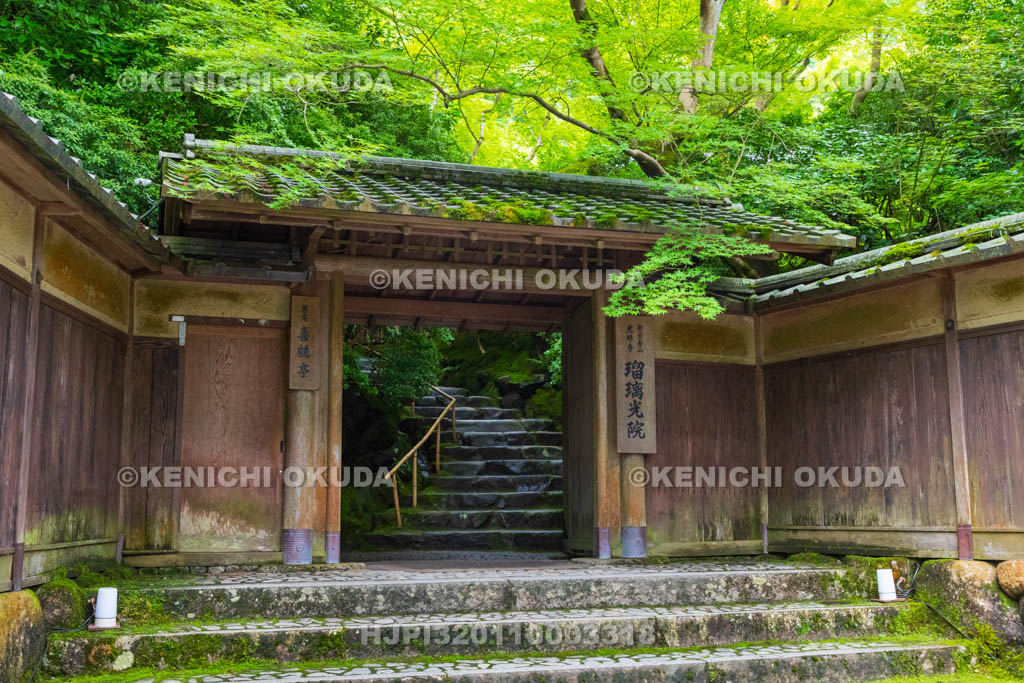 京都府　瑠璃光院　新緑の山門